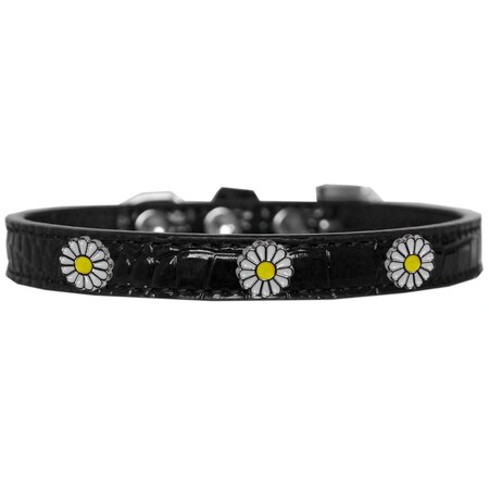 Mirage Pet Products White Daisy Widget Croc Dog Collar BlackSize 12 720-24 BKC12